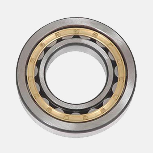 SL014880 Cylindrical roller bearing